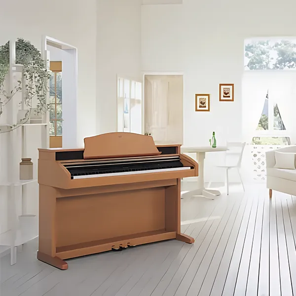 Music City – Tổng Kho Piano, Guitar, Organ | Dịch Vụ Giáo Dục Âm Nhạc