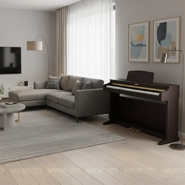 Music City – Tổng Kho Piano, Guitar, Organ | Dịch Vụ Giáo Dục Âm Nhạc