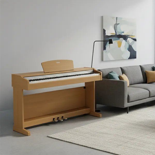 Music City – Tổng Kho Piano, Guitar, Organ | Dịch Vụ Giáo Dục Âm Nhạc