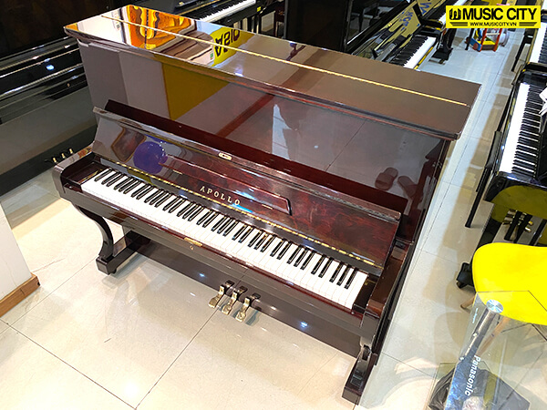 Music City – Tổng Kho Piano, Guitar, Organ | Dịch Vụ Giáo Dục Âm Nhạc