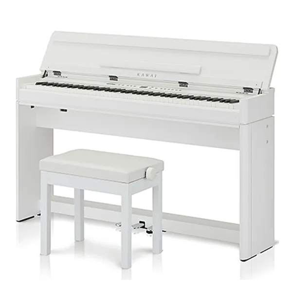 Music City – Tổng Kho Piano, Guitar, Organ | Dịch Vụ Giáo Dục Âm Nhạc