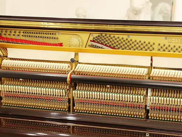 Music City – Tổng Kho Piano, Guitar, Organ | Dịch Vụ Giáo Dục Âm Nhạc