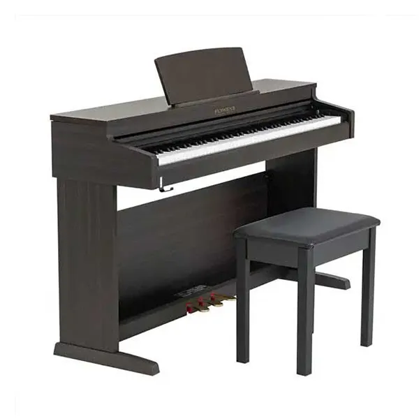 Music City – Tổng Kho Piano, Guitar, Organ | Dịch Vụ Giáo Dục Âm Nhạc