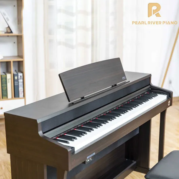 Music City – Tổng Kho Piano, Guitar, Organ | Dịch Vụ Giáo Dục Âm Nhạc