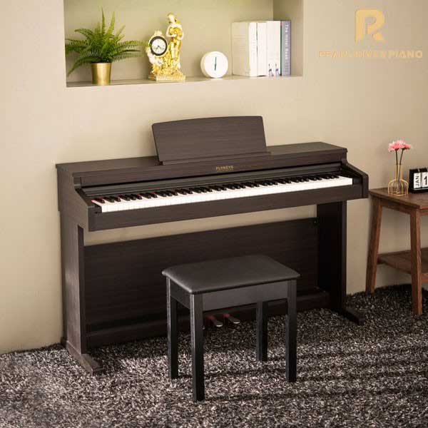 Music City – Tổng Kho Piano, Guitar, Organ | Dịch Vụ Giáo Dục Âm Nhạc