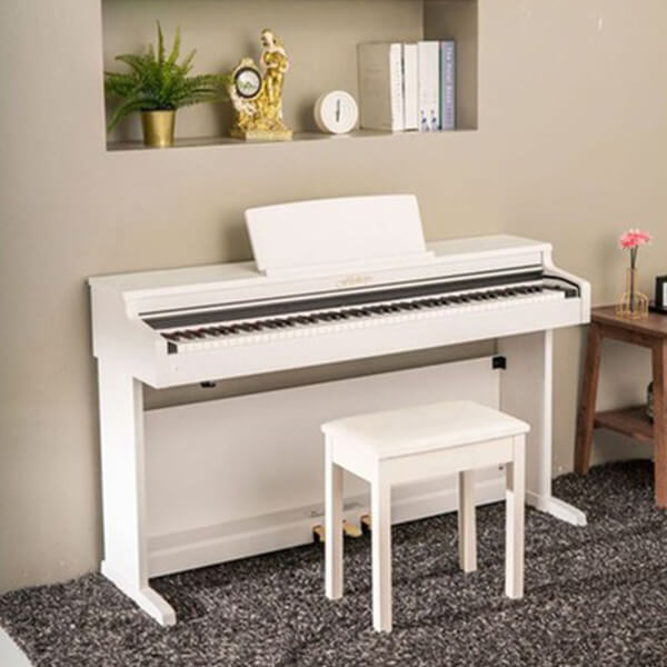 Music City – Tổng Kho Piano, Guitar, Organ | Dịch Vụ Giáo Dục Âm Nhạc