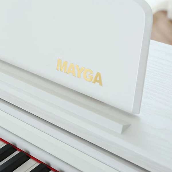 Music City – Tổng Kho Piano, Guitar, Organ | Dịch Vụ Giáo Dục Âm Nhạc