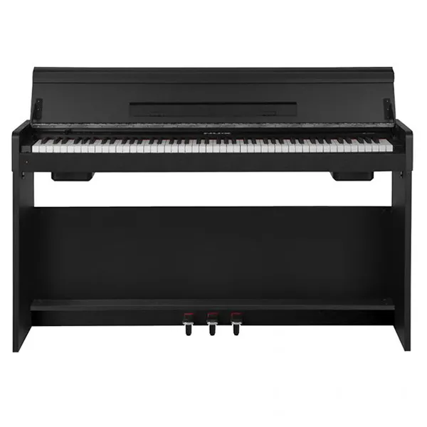 Music City – Tổng Kho Piano, Guitar, Organ | Dịch Vụ Giáo Dục Âm Nhạc