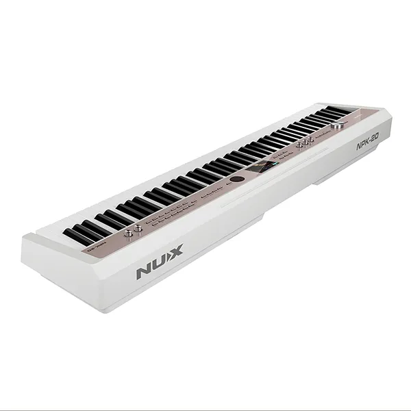 Music City – Tổng Kho Piano, Guitar, Organ | Dịch Vụ Giáo Dục Âm Nhạc