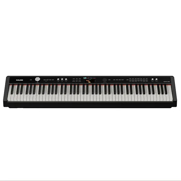 Music City – Tổng Kho Piano, Guitar, Organ | Dịch Vụ Giáo Dục Âm Nhạc