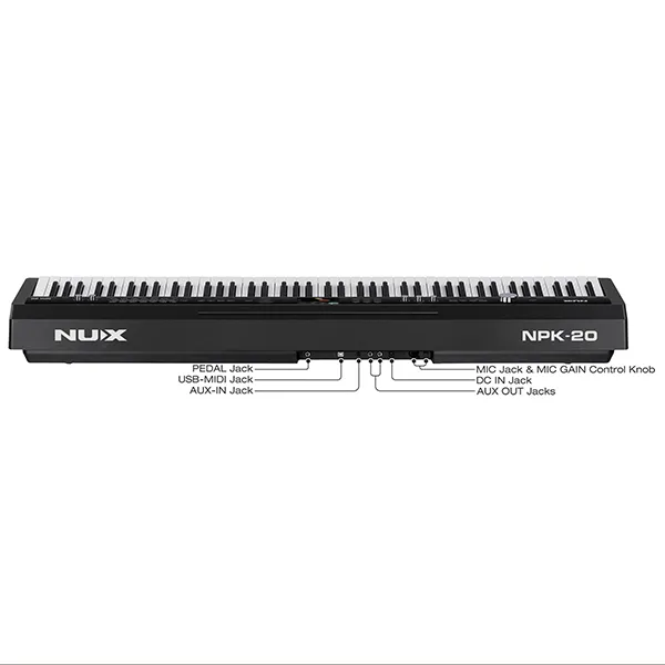 Music City – Tổng Kho Piano, Guitar, Organ | Dịch Vụ Giáo Dục Âm Nhạc