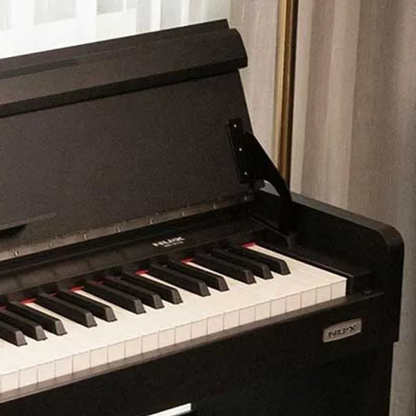 Music City – Tổng Kho Piano, Guitar, Organ | Dịch Vụ Giáo Dục Âm Nhạc