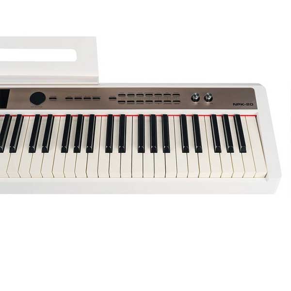 Music City – Tổng Kho Piano, Guitar, Organ | Dịch Vụ Giáo Dục Âm Nhạc