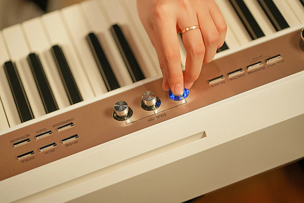 Music City – Tổng Kho Piano, Guitar, Organ | Dịch Vụ Giáo Dục Âm Nhạc