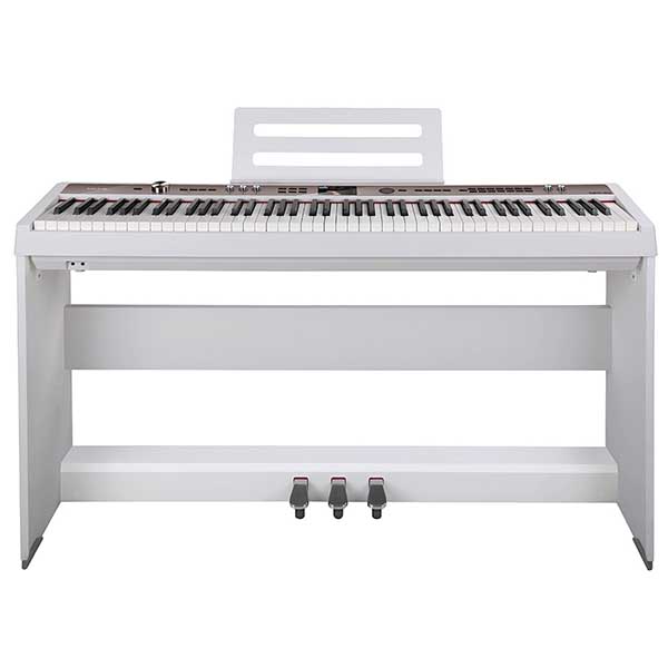 Music City – Tổng Kho Piano, Guitar, Organ | Dịch Vụ Giáo Dục Âm Nhạc