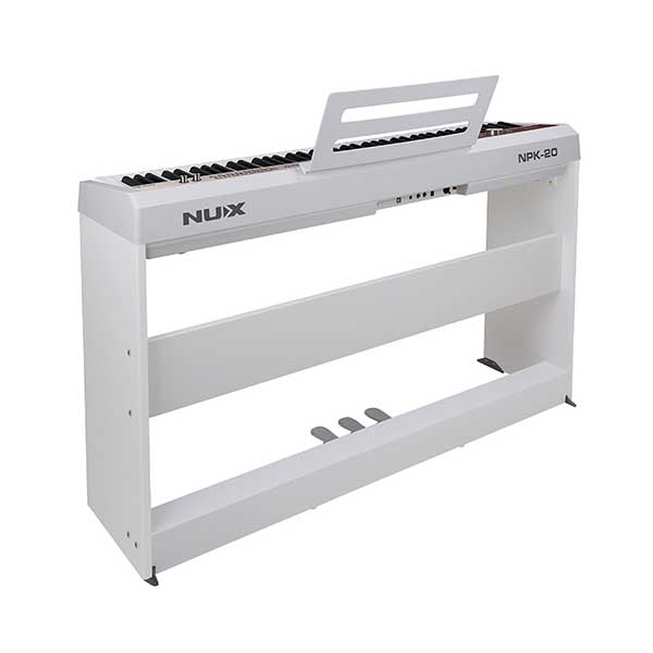 Music City – Tổng Kho Piano, Guitar, Organ | Dịch Vụ Giáo Dục Âm Nhạc