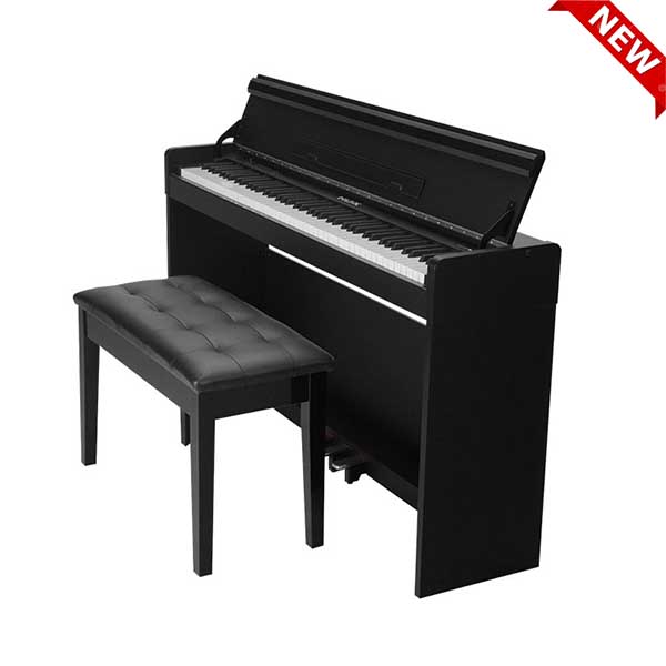 Music City – Tổng Kho Piano, Guitar, Organ | Dịch Vụ Giáo Dục Âm Nhạc