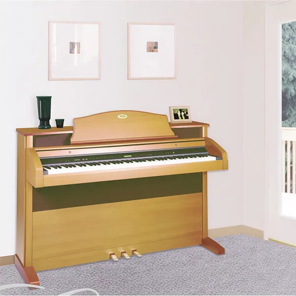 Music City – Tổng Kho Piano, Guitar, Organ | Dịch Vụ Giáo Dục Âm Nhạc