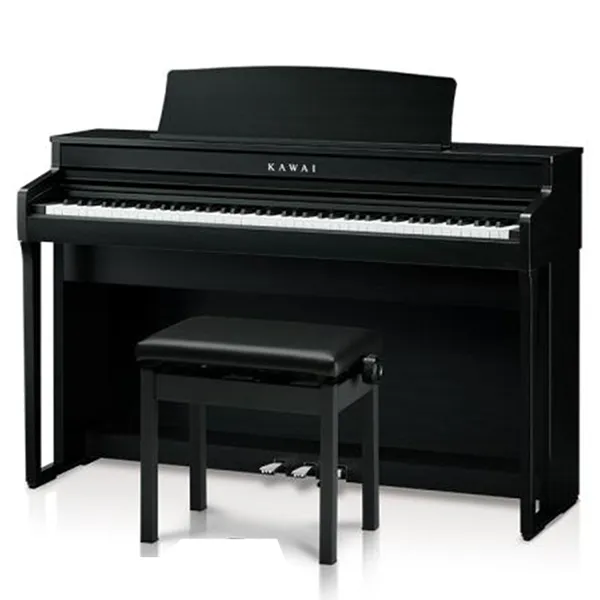Music City – Tổng Kho Piano, Guitar, Organ | Dịch Vụ Giáo Dục Âm Nhạc