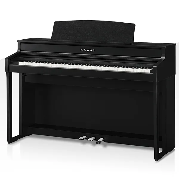 Music City – Tổng Kho Piano, Guitar, Organ | Dịch Vụ Giáo Dục Âm Nhạc