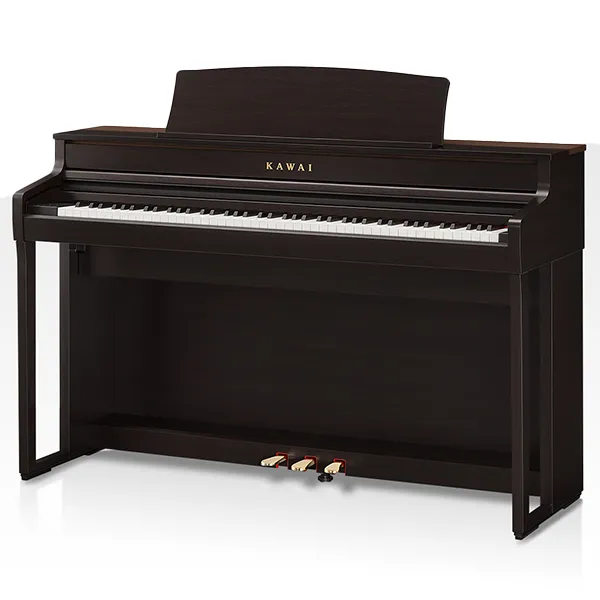 Music City – Tổng Kho Piano, Guitar, Organ | Dịch Vụ Giáo Dục Âm Nhạc