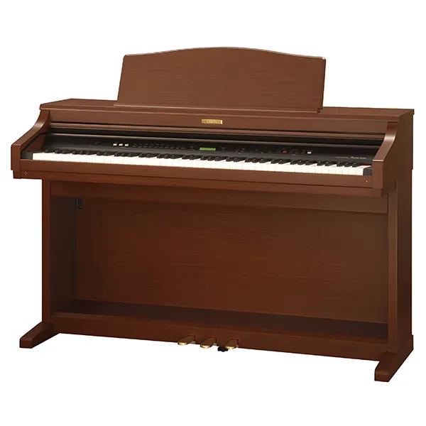Music City – Tổng Kho Piano, Guitar, Organ | Dịch Vụ Giáo Dục Âm Nhạc