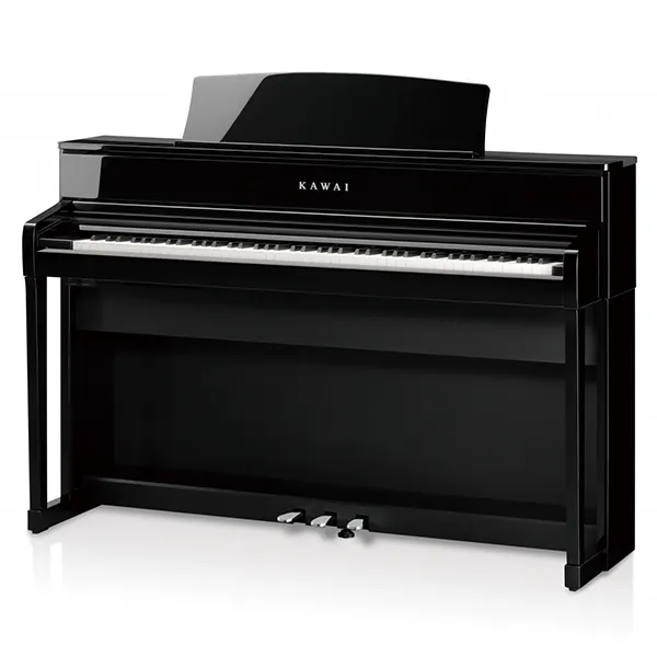 Music City – Tổng Kho Piano, Guitar, Organ | Dịch Vụ Giáo Dục Âm Nhạc