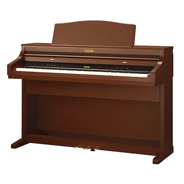 Music City – Tổng Kho Piano, Guitar, Organ | Dịch Vụ Giáo Dục Âm Nhạc