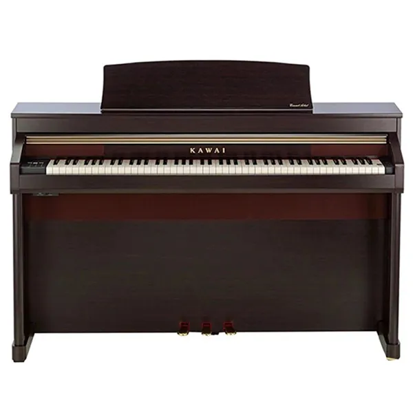Music City – Tổng Kho Piano, Guitar, Organ | Dịch Vụ Giáo Dục Âm Nhạc