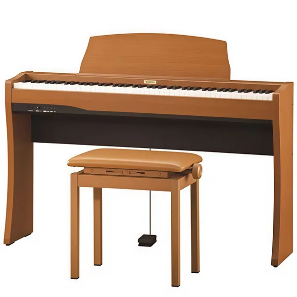 Music City – Tổng Kho Piano, Guitar, Organ | Dịch Vụ Giáo Dục Âm Nhạc