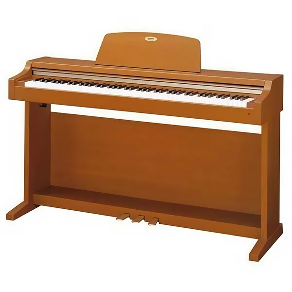 Music City – Tổng Kho Piano, Guitar, Organ | Dịch Vụ Giáo Dục Âm Nhạc