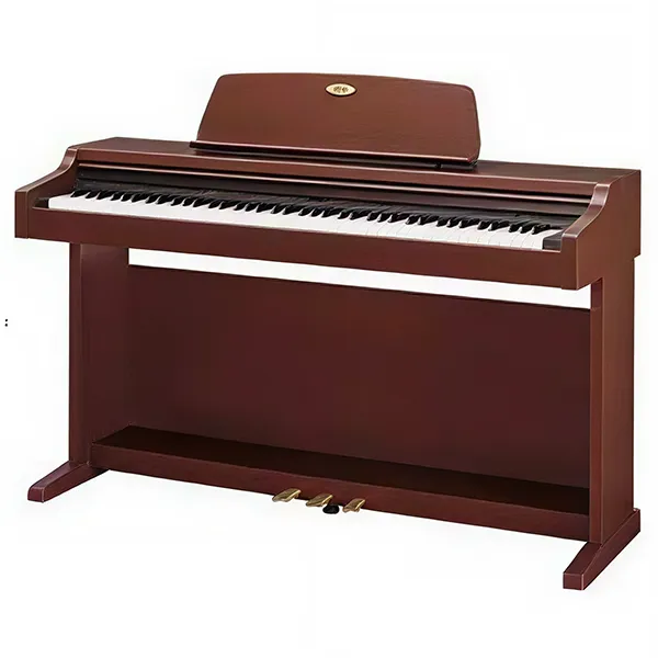 Music City – Tổng Kho Piano, Guitar, Organ | Dịch Vụ Giáo Dục Âm Nhạc