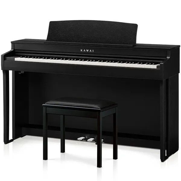 Music City – Tổng Kho Piano, Guitar, Organ | Dịch Vụ Giáo Dục Âm Nhạc