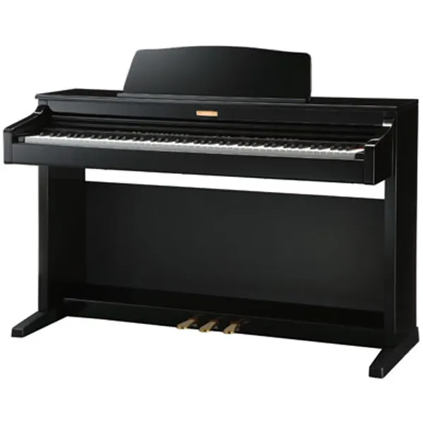 Music City – Tổng Kho Piano, Guitar, Organ | Dịch Vụ Giáo Dục Âm Nhạc