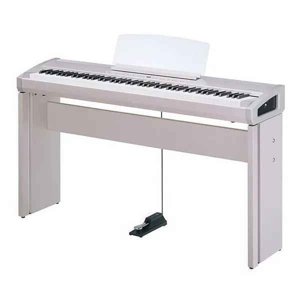 Music City – Tổng Kho Piano, Guitar, Organ | Dịch Vụ Giáo Dục Âm Nhạc