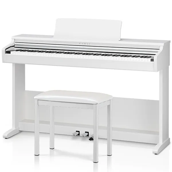 Music City – Tổng Kho Piano, Guitar, Organ | Dịch Vụ Giáo Dục Âm Nhạc