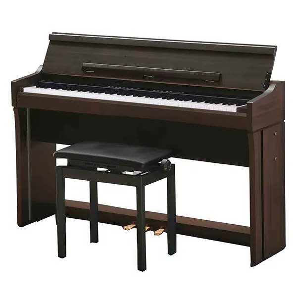 Music City – Tổng Kho Piano, Guitar, Organ | Dịch Vụ Giáo Dục Âm Nhạc