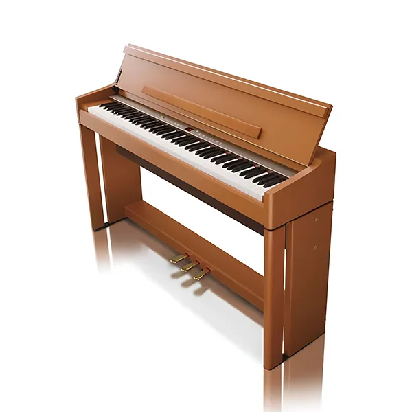 Music City – Tổng Kho Piano, Guitar, Organ | Dịch Vụ Giáo Dục Âm Nhạc