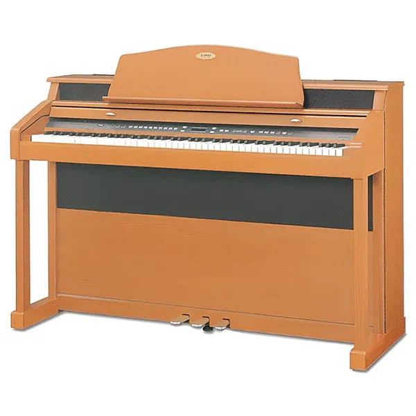 Music City – Tổng Kho Piano, Guitar, Organ | Dịch Vụ Giáo Dục Âm Nhạc