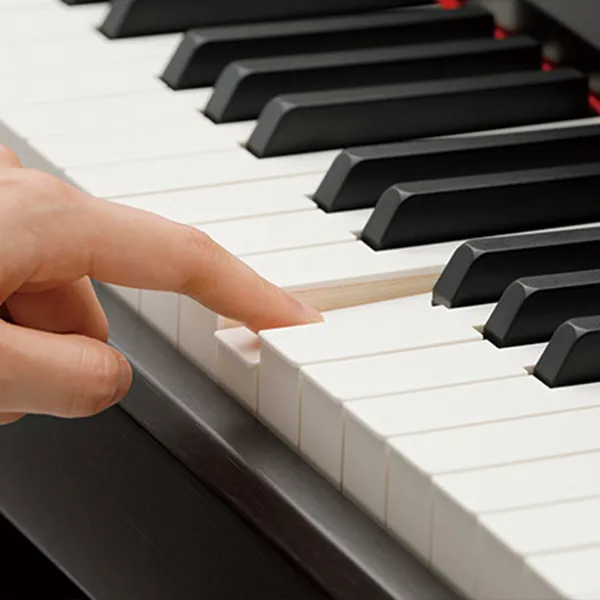 Music City – Tổng Kho Piano, Guitar, Organ | Dịch Vụ Giáo Dục Âm Nhạc