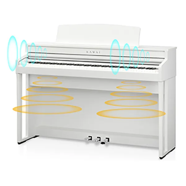 Music City – Tổng Kho Piano, Guitar, Organ | Dịch Vụ Giáo Dục Âm Nhạc