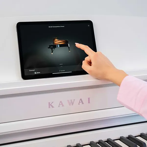 Music City – Tổng Kho Piano, Guitar, Organ | Dịch Vụ Giáo Dục Âm Nhạc