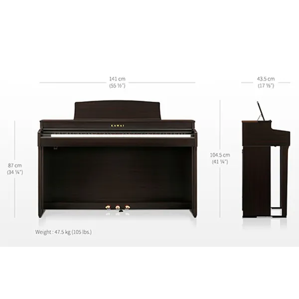 Music City – Tổng Kho Piano, Guitar, Organ | Dịch Vụ Giáo Dục Âm Nhạc