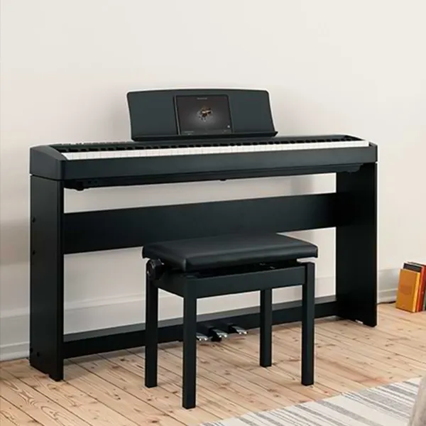Music City – Tổng Kho Piano, Guitar, Organ | Dịch Vụ Giáo Dục Âm Nhạc