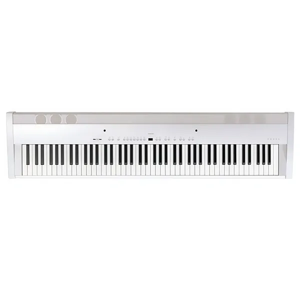 Music City – Tổng Kho Piano, Guitar, Organ | Dịch Vụ Giáo Dục Âm Nhạc