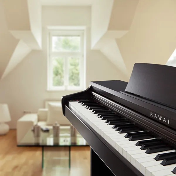 Music City – Tổng Kho Piano, Guitar, Organ | Dịch Vụ Giáo Dục Âm Nhạc
