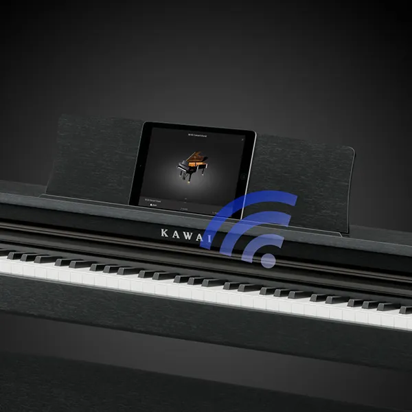 Music City – Tổng Kho Piano, Guitar, Organ | Dịch Vụ Giáo Dục Âm Nhạc