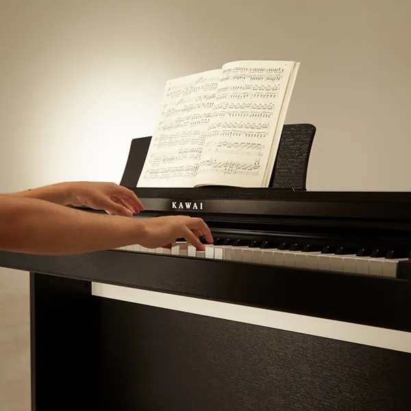 Music City – Tổng Kho Piano, Guitar, Organ | Dịch Vụ Giáo Dục Âm Nhạc