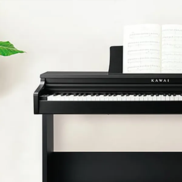 Music City – Tổng Kho Piano, Guitar, Organ | Dịch Vụ Giáo Dục Âm Nhạc