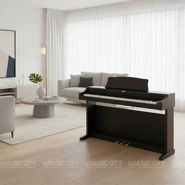 Music City – Tổng Kho Piano, Guitar, Organ | Dịch Vụ Giáo Dục Âm Nhạc